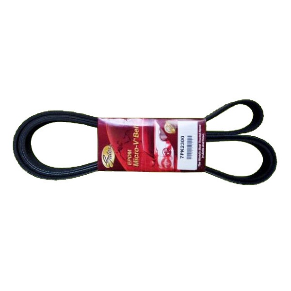 Day curoa tong toyota fortuner.JPG